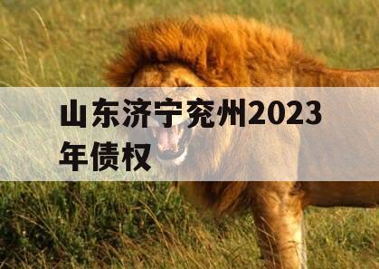 山东济宁兖州2023年债权