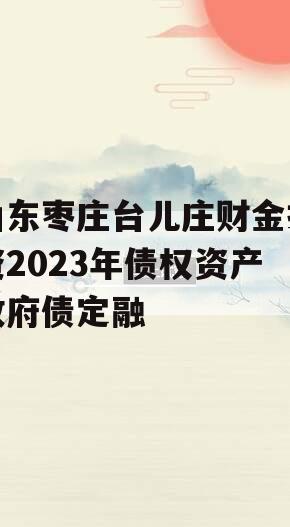 山东枣庄台儿庄财金投资2023年债权资产政府债定融