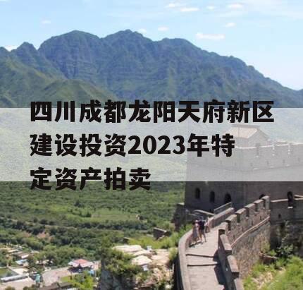 四川成都龙阳天府新区建设投资2023年特定资产拍卖