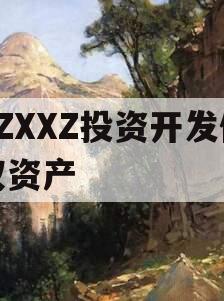 ZZXXZ投资开发债权资产