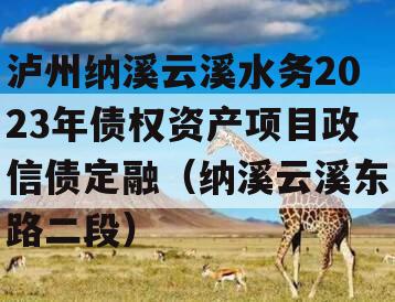 泸州纳溪云溪水务2023年债权资产项目政信债定融（纳溪云溪东路二段）