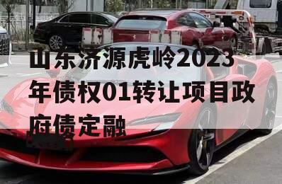 山东济源虎岭2023年债权01转让项目政府债定融