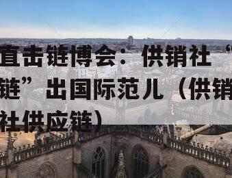 直击链博会：供销社“链”出国际范儿（供销社供应链）