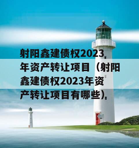 射阳鑫建债权2023年资产转让项目（射阳鑫建债权2023年资产转让项目有哪些）