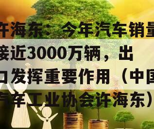 许海东：今年汽车销量接近3000万辆，出口发挥重要作用（中国汽车工业协会许海东）