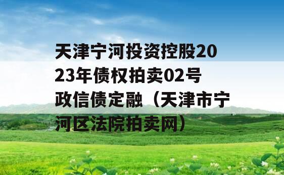 天津宁河投资控股2023年债权拍卖02号政信债定融（天津市宁河区法院拍卖网）