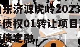 山东济源虎岭2023年债权01转让项目政府债定融