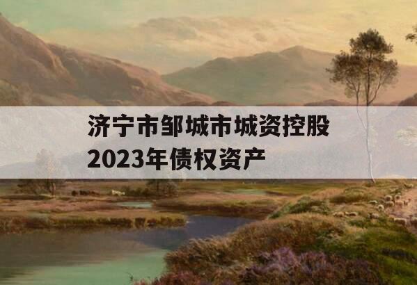 济宁市邹城市城资控股2023年债权资产