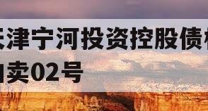 天津宁河投资控股债权拍卖02号