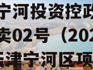 天津宁河投资控政信债权拍卖02号（2020年天津宁河区项目）