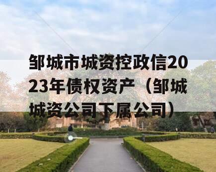 邹城市城资控政信2023年债权资产（邹城城资公司下属公司）