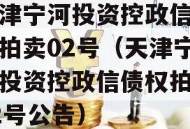 天津宁河投资控政信债权拍卖02号（天津宁河投资控政信债权拍卖02号公告）