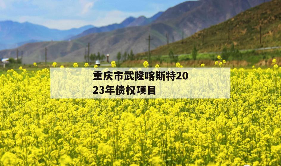 重庆市武隆喀斯特2023年债权项目