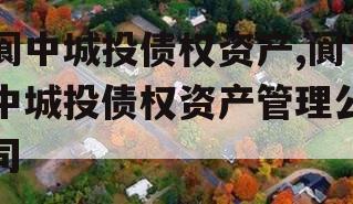 阆中城投债权资产,阆中城投债权资产管理公司