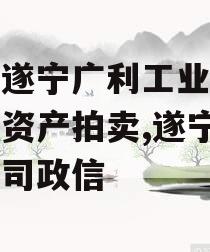 四川遂宁广利工业发展特定资产拍卖,遂宁广利公司政信