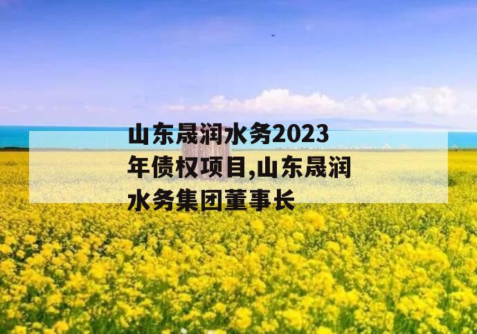 山东晟润水务2023年债权项目,山东晟润水务集团董事长