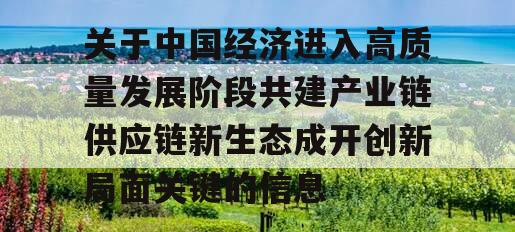 关于中国经济进入高质量发展阶段共建产业链供应链新生态成开创新局面关键的信息