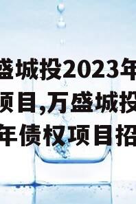 万盛城投2023年债权项目,万盛城投2023年债权项目招标