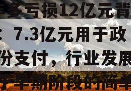 政信价破发！国鸿氢能3年多亏损12亿元背后：7.3亿元用于政信份支付，行业发展仍处于早期阶段的简单介绍