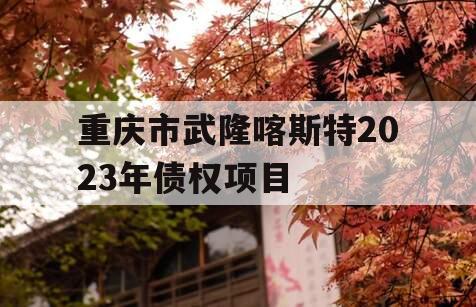 重庆市武隆喀斯特2023年债权项目