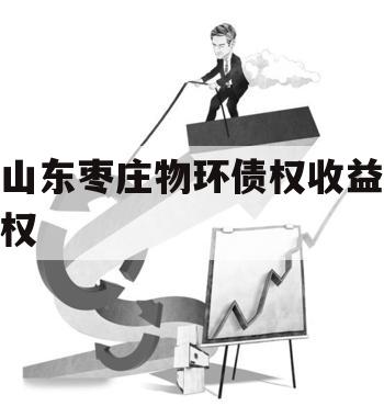 山东枣庄物环债权收益权