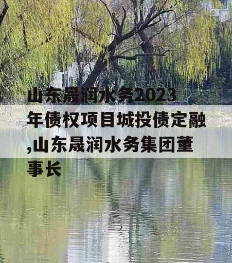 山东晟润水务2023年债权项目城投债定融,山东晟润水务集团董事长