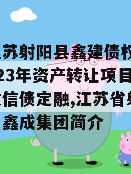 江苏射阳县鑫建债权2023年资产转让项目政信债定融,江苏省射阳鑫成集团简介