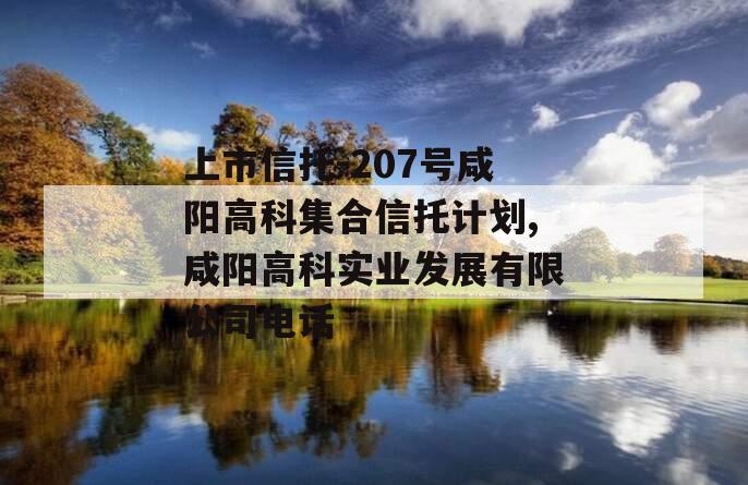 上市信托-207号咸阳高科集合信托计划,咸阳高科实业发展有限公司电话