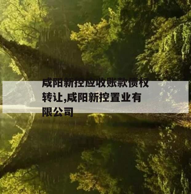 咸阳新控应收账款债权转让,咸阳新控置业有限公司