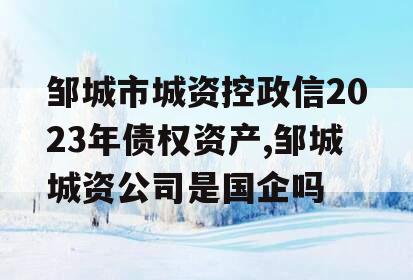 邹城市城资控政信2023年债权资产,邹城城资公司是国企吗