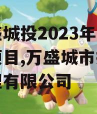 万盛城投2023年债权项目,万盛城市投资管理有限公司