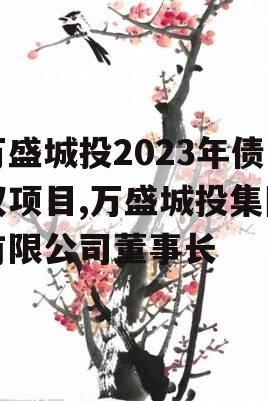 万盛城投2023年债权项目,万盛城投集团有限公司董事长