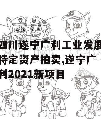 四川遂宁广利工业发展特定资产拍卖,遂宁广利2021新项目