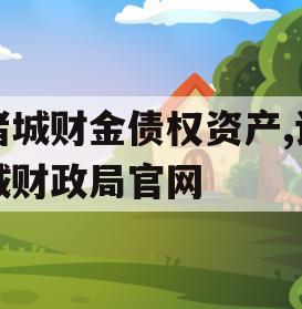 诸城财金债权资产,诸城财政局官网