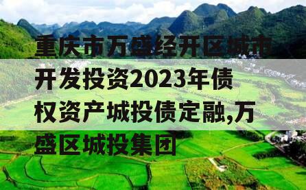 重庆市万盛经开区城市开发投资2023年债权资产城投债定融,万盛区城投集团