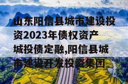 山东阳信县城市建设投资2023年债权资产城投债定融,阳信县城市建设开发投资集团