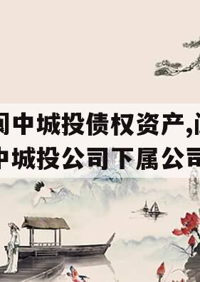 阆中城投债权资产,阆中城投公司下属公司