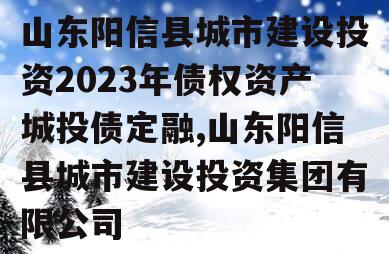 山东阳信县城市建设投资2023年债权资产城投债定融,山东阳信县城市建设投资集团有限公司