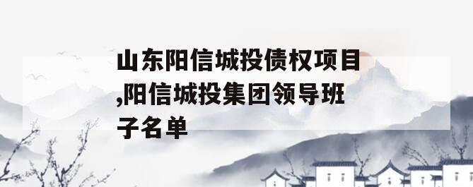 山东阳信城投债权项目,阳信城投集团领导班子名单