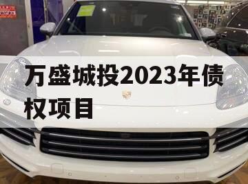 万盛城投2023年债权项目