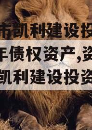 资阳市凯利建设投资2023年债权资产,资阳市凯利建设投资有限公司