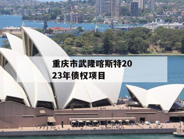 重庆市武隆喀斯特2023年债权项目