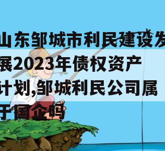 山东邹城市利民建设发展2023年债权资产计划,邹城利民公司属于国企吗