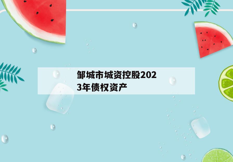 邹城市城资控股2023年债权资产