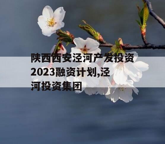 陕西西安泾河产发投资2023融资计划,泾河投资集团