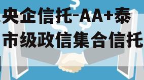 大央企信托-AA+泰州市级政信集合信托计划