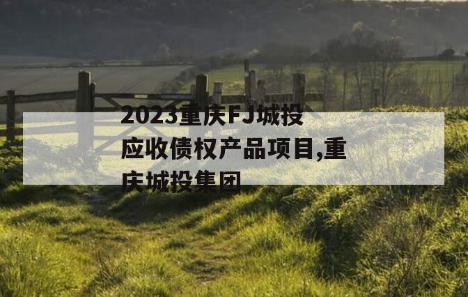 2023重庆FJ城投应收债权产品项目,重庆城投集团