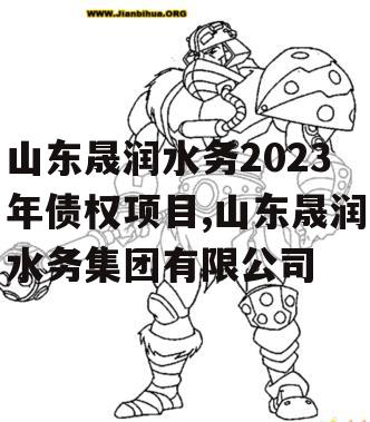 山东晟润水务2023年债权项目,山东晟润水务集团有限公司