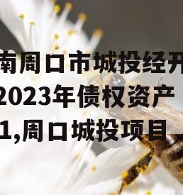 河南周口市城投经开实业2023年债权资产001,周口城投项目