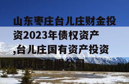 山东枣庄台儿庄财金投资2023年债权资产,台儿庄国有资产投资控政信有限公司